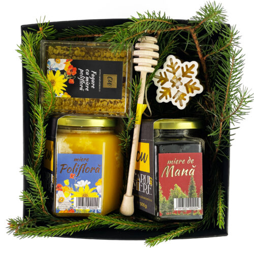 Pachet cadou „dar din stup” 1 Christmas